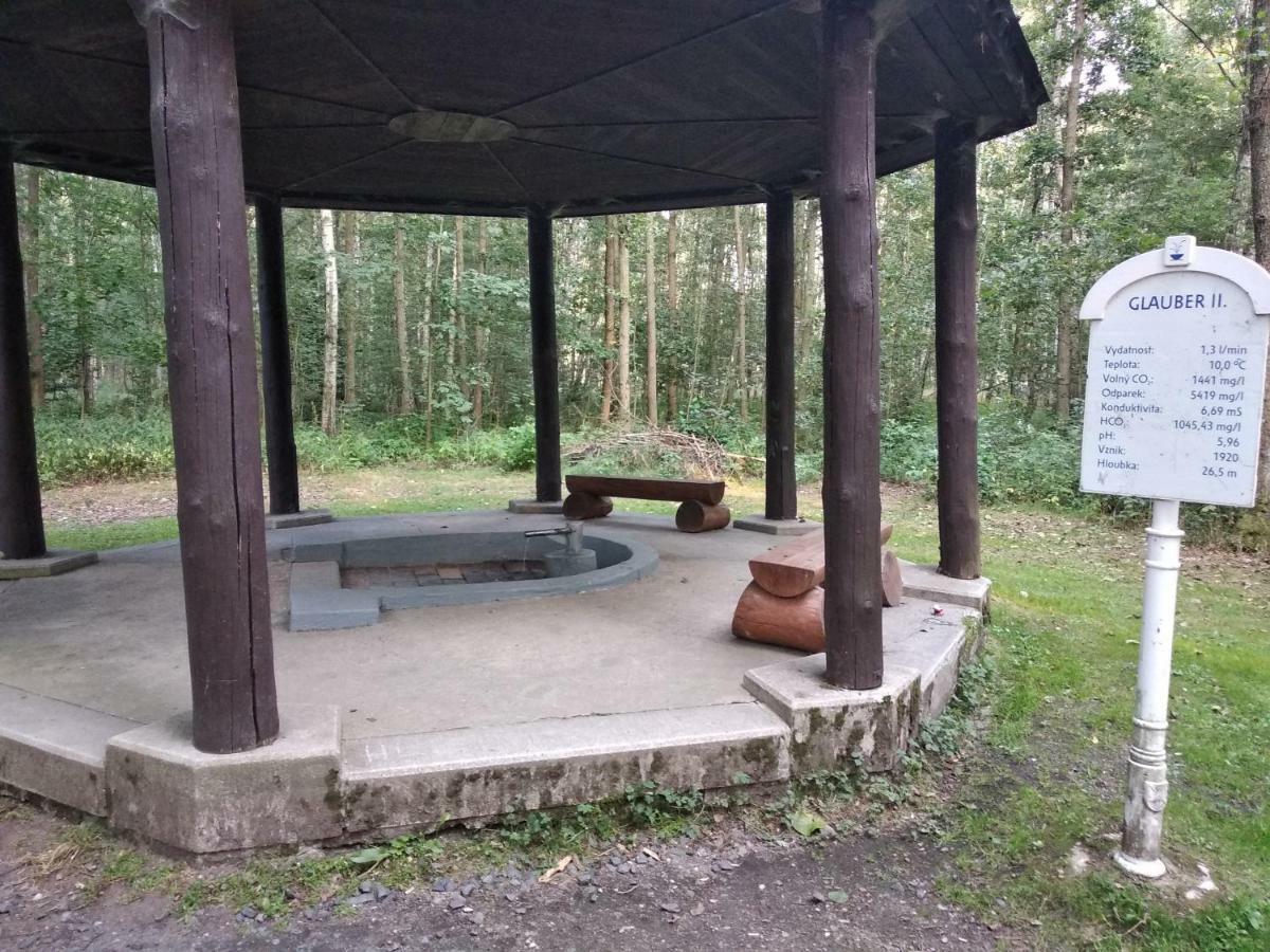 Apartments Ceska Frantiskovy Lazne Bagian luar foto