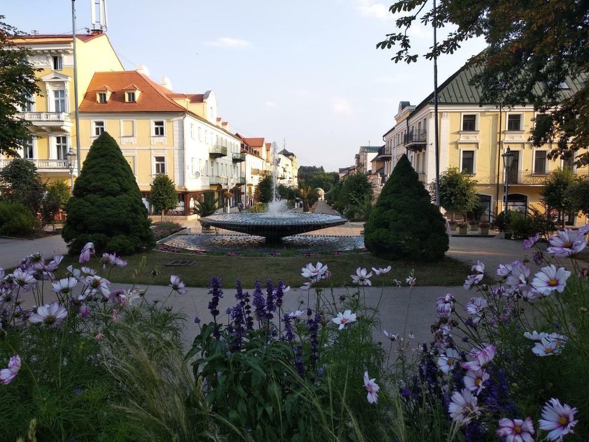 Apartments Ceska Frantiskovy Lazne Bagian luar foto